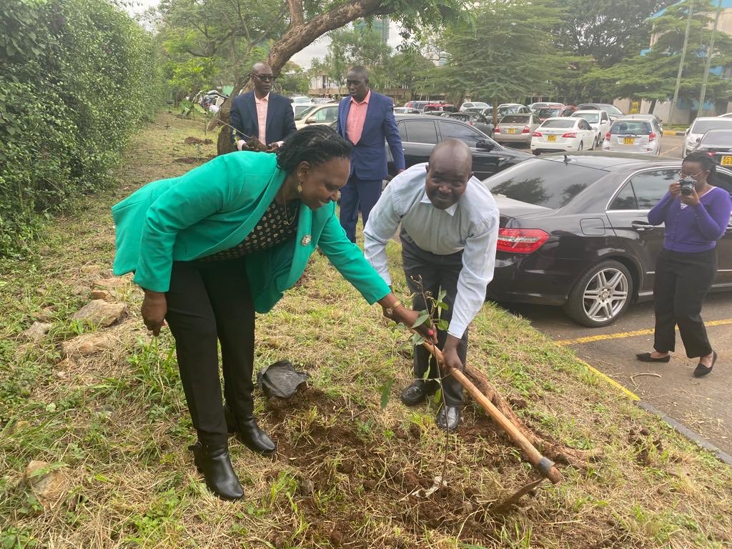 Prof. Grace  Irimu  the chairperson of the Department was also not left behind in the tree planting exercise.